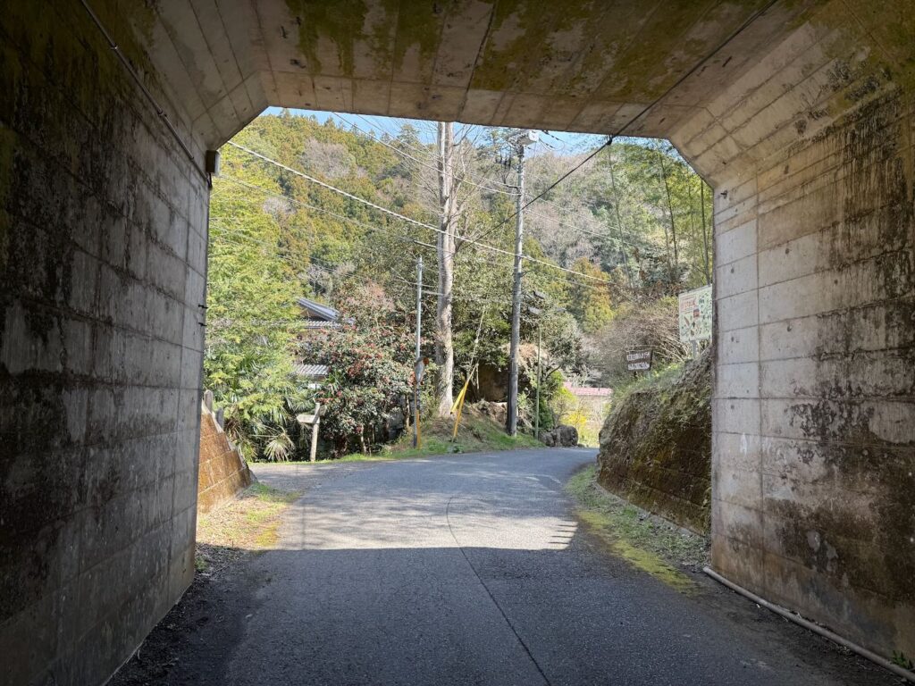 伊豆ヶ岳 20250405