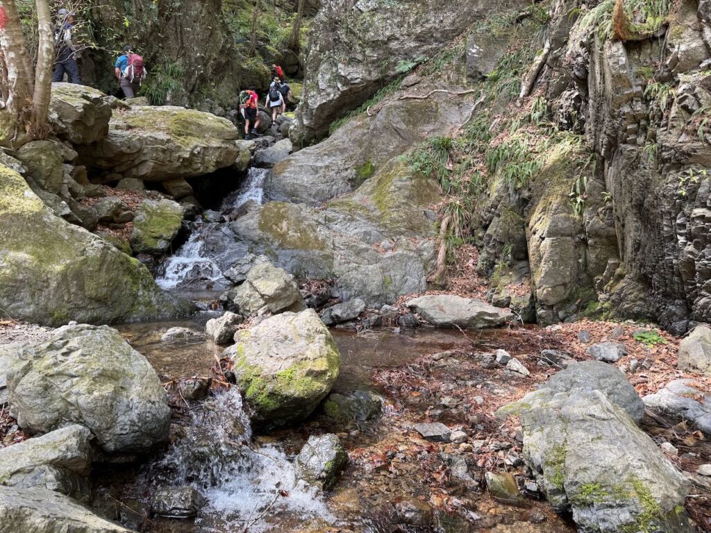 棒ノ折山 20250419