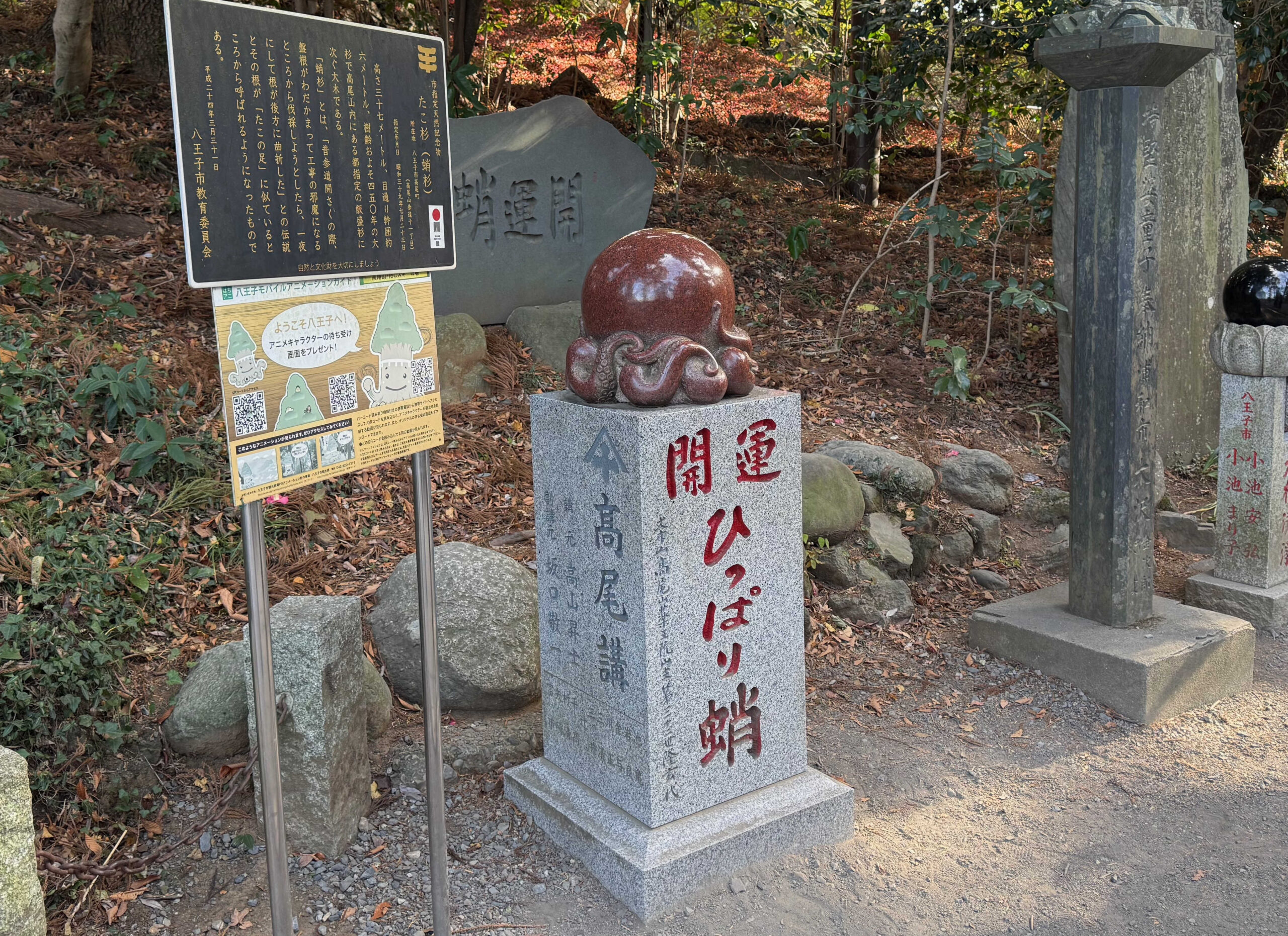ヒゲの淡々登山記録