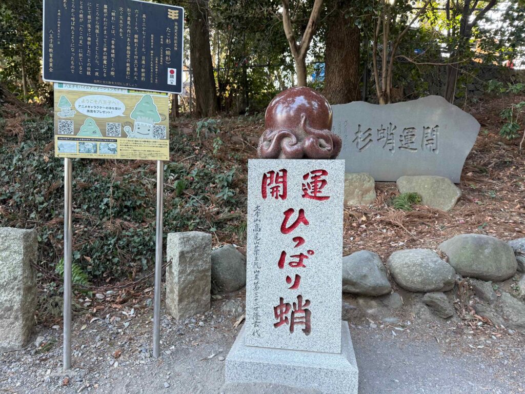 高尾山 20250222