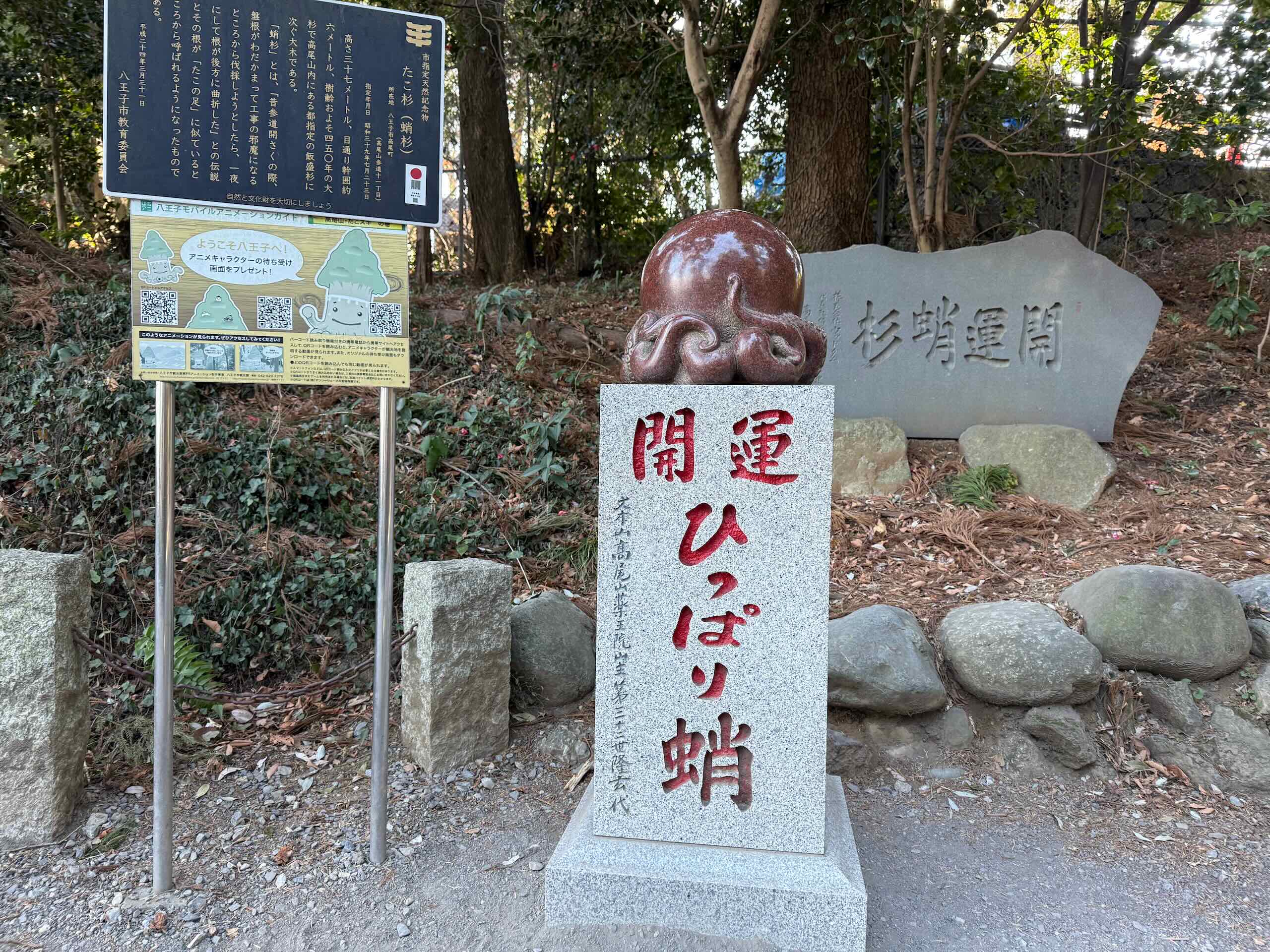 高尾山 20250222