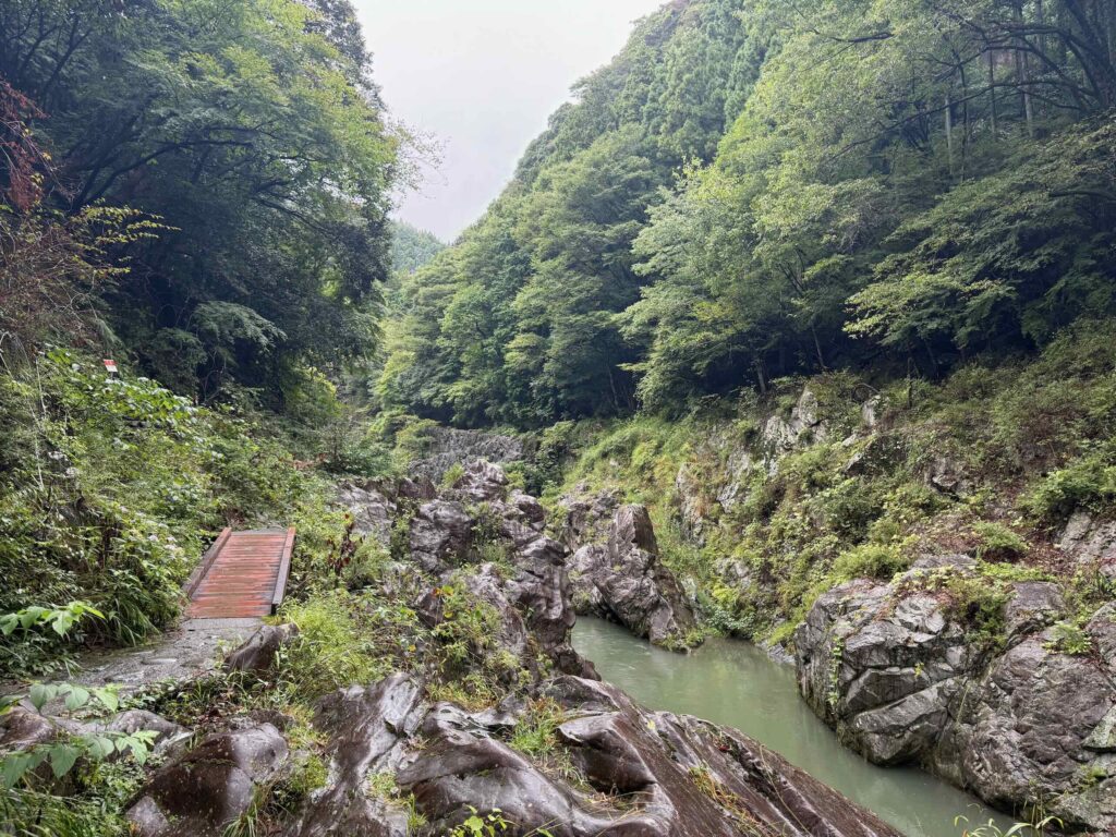 愛宕山（奥多摩）・鳩の巣渓谷 20250913