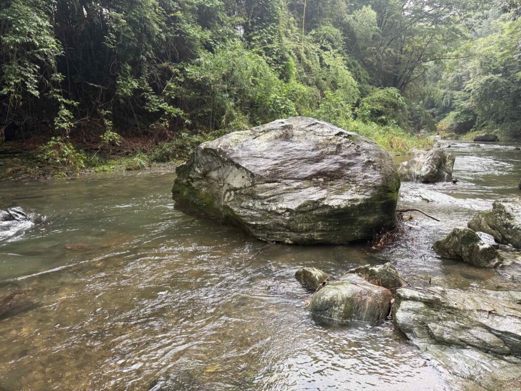 大平山・嵐山渓谷 20250920